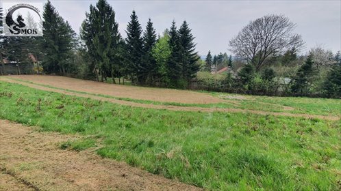 działka na sprzedaż 2300m2 działka Siercza