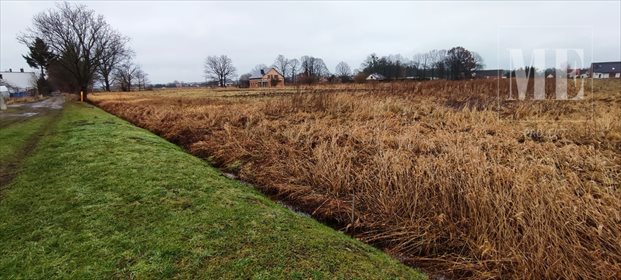 działka na sprzedaż 3000m2 działka Rurzyca