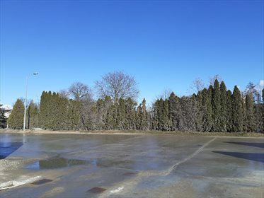 Działka przemysłowo-handlowa pod dzierżawę Gdańsk, Stogi, SIENNA 7 459m2 Foto 5