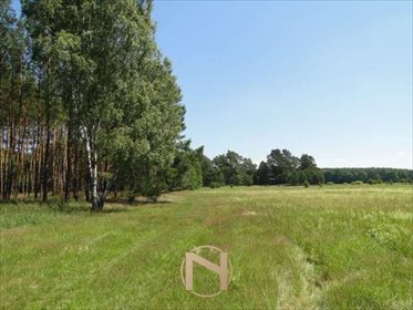 Działka rolna 11 068 m² w Łośnie - zapraszam działka Łośno