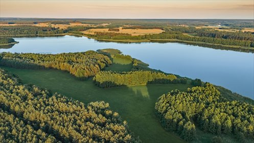 Twój kawałek lasu nad jeziorem Wieleńskim MPZP! działka Osłonin