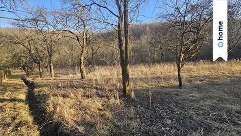 Na sprzedaż działka 3200 m² w Chodakówce z potencjałem działka Chodakówka