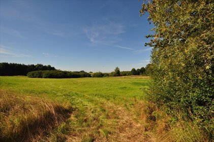 działka na sprzedaż 3021m2 działka Stojkowo