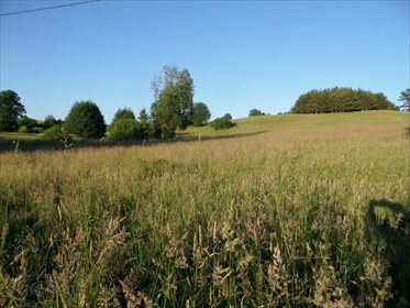Działka rolna na sprzedaż Stare Kawkowo 3 206m2 Foto 4