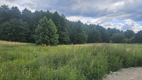 Działka 9 177 m² z dostępem do rzeki Dobrzyca. działka Golce