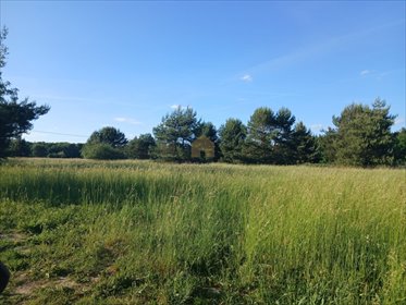 Działki budowlane Niemstów - 2x997 m² - pod inwestycję działka Niemstów