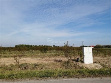 Działka budowlana na sprzedaż Bedlno 1 100m2 Foto 4