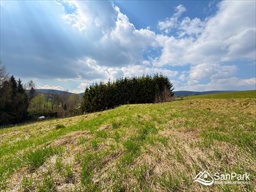 działka na sprzedaż 2215m2 działka Hoszowczyk