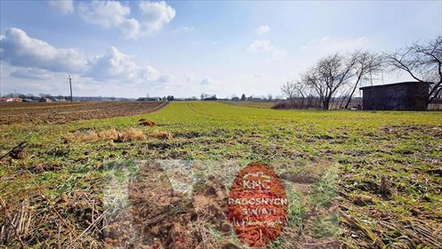 działka na sprzedaż 4700m2 działka Miłocin