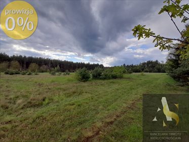 działka na sprzedaż 5582m2 działka Tomisław