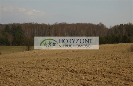 Polecam działkę 1,21 ha z widokiem na jezioro i planem domu działka Grabowska Huta