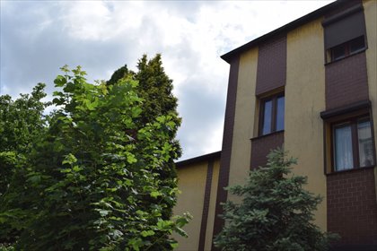 mieszkanie na sprzedaż 170m2 mieszkanie Chorzów, Centrum, Cieszyńska