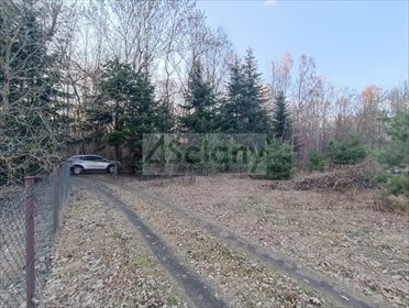 Działka 1300 m² z MPZP, media, las - polecam! działka Ojrzanów