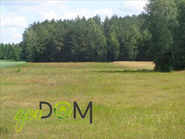 Działka rolna na sprzedaż Pojelce 38 830m2 Foto 5