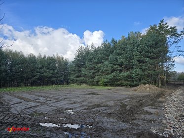 Działka budowlana z mediami, ogród, blisko szkoły działka Wierzchowisko