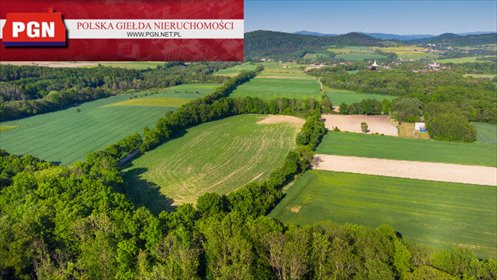 działka na sprzedaż 32600m2 działka Polanica-Zdrój