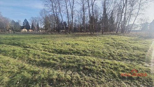 Działki budowlane w Tatynii blisko lasu i miasta działka Tatynia