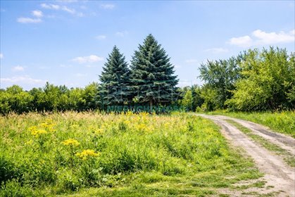 działka na sprzedaż 2000m2 działka Ojrzanów