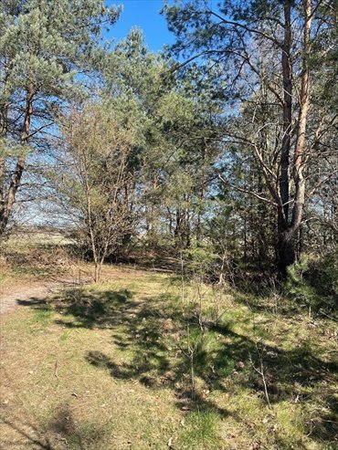 Działka 870 m² pod zabudowę w Białogardzie - polecam działka Białogard, Tadeusza Nalepy
