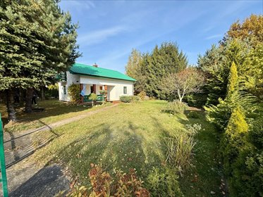 Domek rekreacyjny 60 m² nad Wkrą - zapraszam dom Kolonia Sochocin