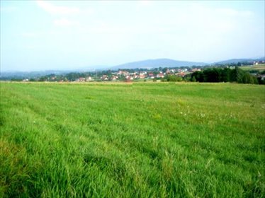 Sprzedam widokową działkę 1200 m² w Tomicach działka Tomice