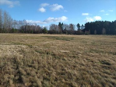 działka na sprzedaż 50000m2 działka Koniecpol