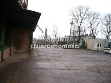 Lokal użytkowy na sprzedaż Białośliwie 2 190m2 Foto 3
