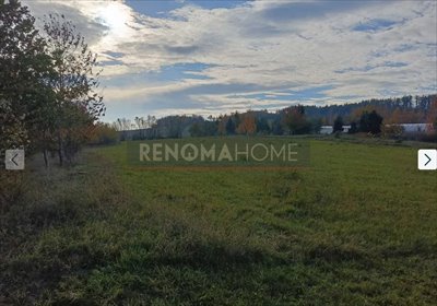 działka na sprzedaż 1400m2 działka Myśliszów