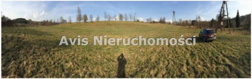 działka na sprzedaż 9697m2 działka gm. Stare Bogaczowice