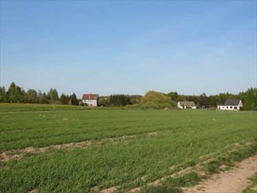 działka na sprzedaż 3025m2 działka Radomek, Szeplerzyzna