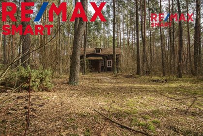 Działka 1900 m² z domkiem w lesie, MPZP, rekreacja działka Łosie, Ptasia