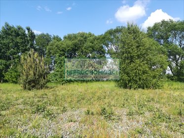 Działka 1800 m² w Jaktorowie z drzewami i mediami działka Jaktorów