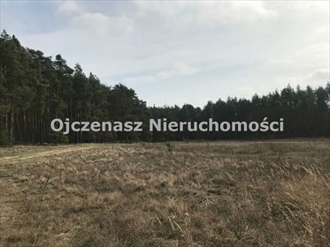 działka na sprzedaż 10251m2 działka Czarże