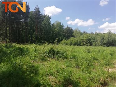 Działka budowlana na sprzedaż Dąbrówka 6 891m2 Foto 4