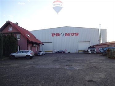 Magazyn na sprzedaż Pasłęk, Sprzymierzonych 3 221m2 Foto 4