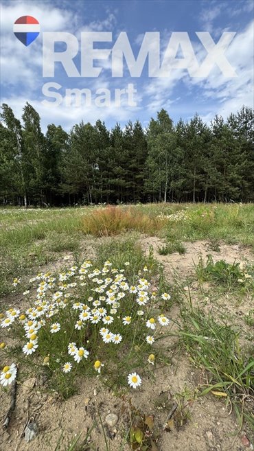 Działka 1000 m² z planem letniskowym i mieszkaniowym - polecam! działka Gójszcz