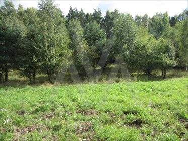 Działka siedliskowa na sprzedaż Pawłowo, Xxx 28 911m2 Foto 6