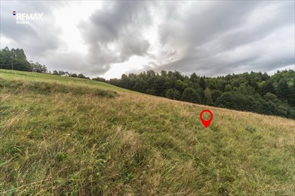 Działka w Wiśle z pięknymi widokami i lasem. działka Wisła, Fiedorowska