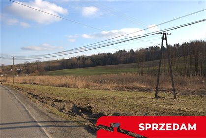 działka na sprzedaż 16600m2 działka Jastrzębia