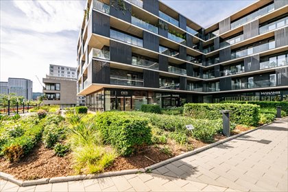 lokal użytkowy na wynajem 109m2 lokal użytkowy Wrocław, Stare Miasto, Stare Miasto, Księcia Witolda