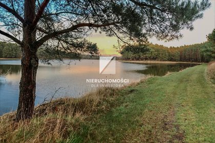 działka na sprzedaż 4000m2 działka Wełmin