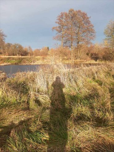 Działka rolna na sprzedaż Proćwin 1 100m2 Foto 3