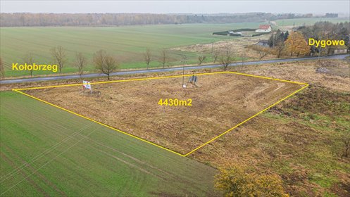 Działka budowlana 0,443 ha w Czerninie (blisko Kołobrzegu) działka Czernin, Czernin, Czernin