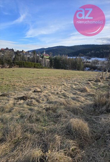 działka na sprzedaż 2100m2 działka Ptaszkowa