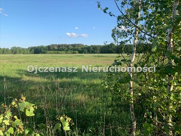 Działka pod zabudowę bliźniaczą 10 243 m² z prądem działka Żołędowo