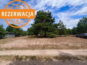 Działka 1459 m² w Powązkach (blisko Kampinoskiego Parku) działka Powązki, Przytulna