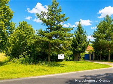 Duża działka inwestycyjna 11 379 m² przy DK10 - z zabudową i dojazdem działka Kalinówka