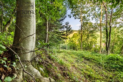 działka na sprzedaż 6000m2 działka Kunkowa