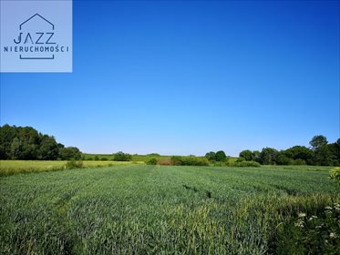 działka na sprzedaż 19600m2 działka Kiezmark