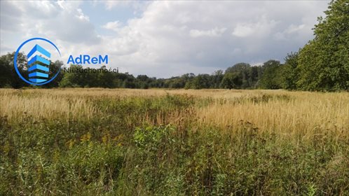 działka na sprzedaż 13500m2 działka Kępa Oborska